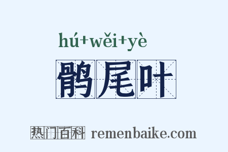 鹘尾叶是什么意思的图片